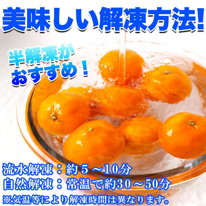 タイムセール!! 愛媛県西宇和産 みかん 100%使用!!えひめのあまーい 冷凍みかん どっさり15個(5個入×3袋・約700〜800g) 送料無料 冷凍A プレミアム 爆買 |  | 05