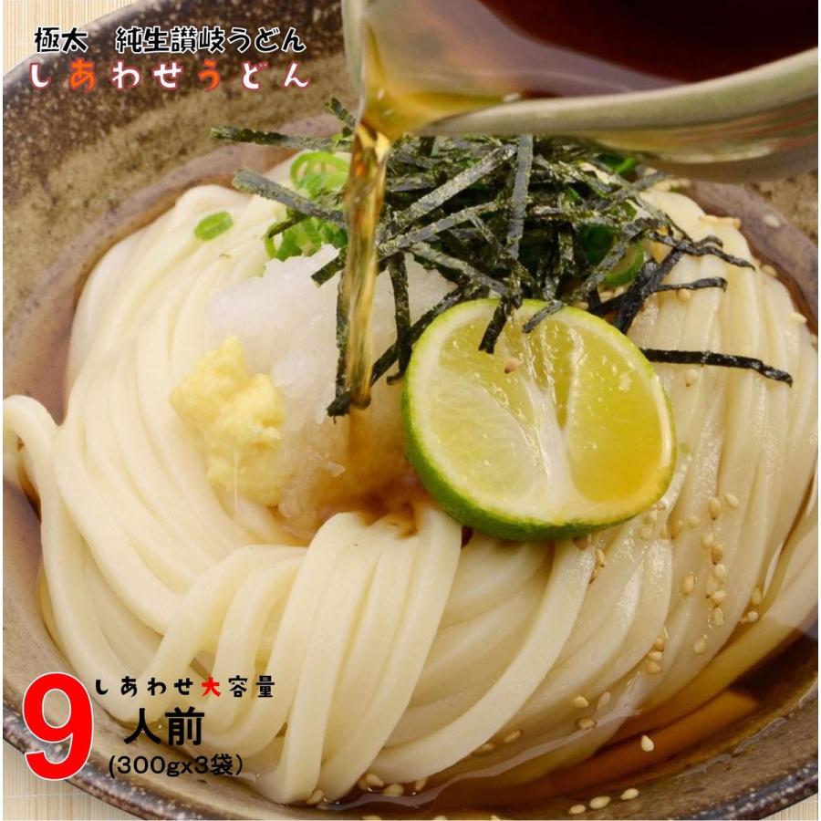 うどん 本場 讃岐うどん 約 9人前 900ｇ (300gx3袋) 送料無料 太麺 うどん  しあわせ製麺 プレミアム メール便 爆買（Yahoo!・北海道とれたて本舗）