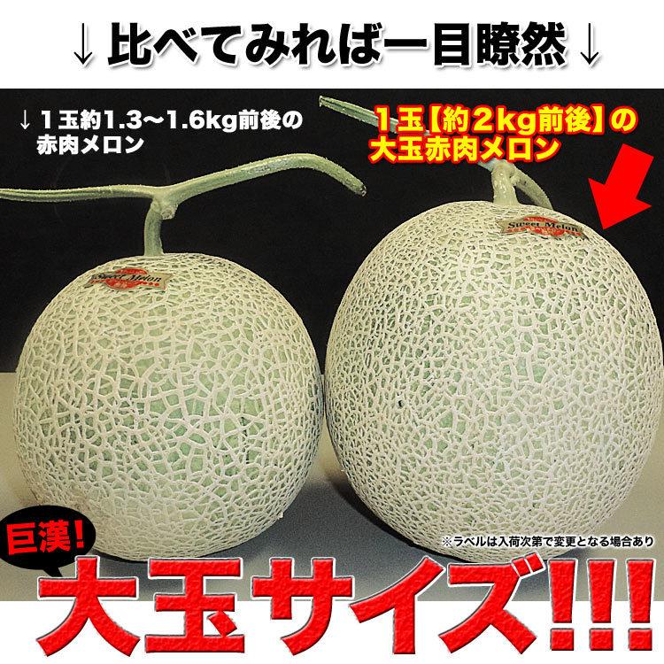 ⑮みけねこ　北海道産　赤肉メロン 北海道産赤肉メロン | 商品詳細 | 高島屋オンラインストア
