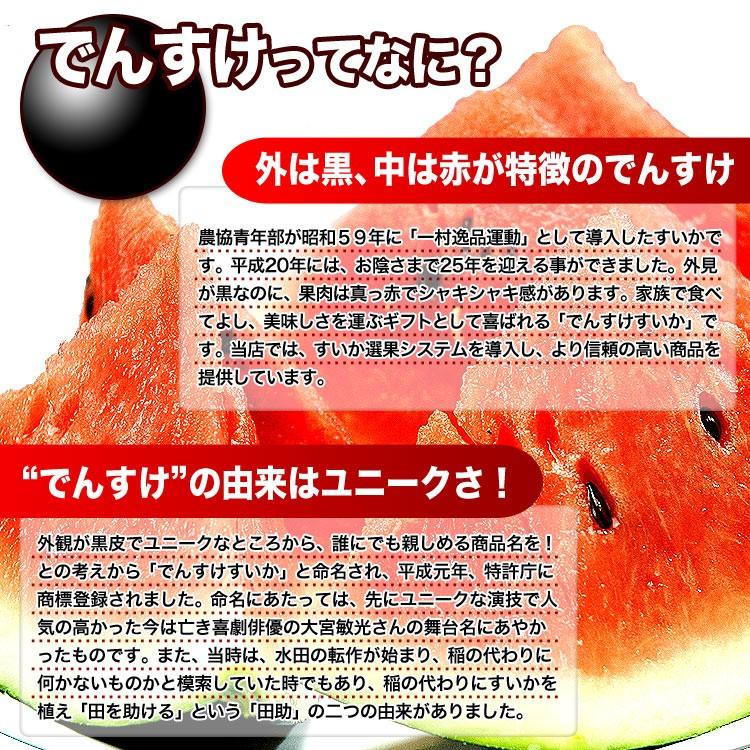 2026年収穫予約 秀品 でんすけすいか 6kg前後 デンスケスイカ 西瓜