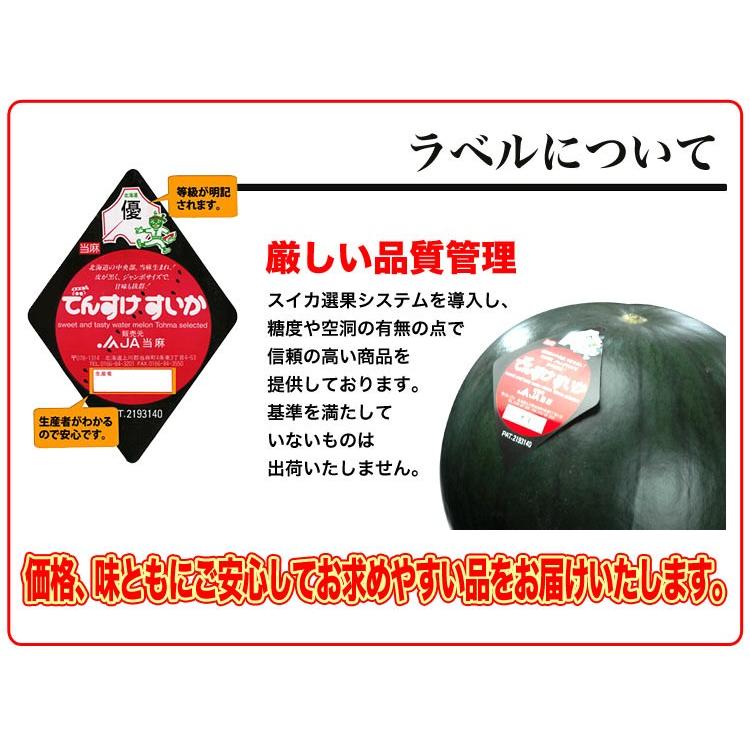 2025収穫終了直前お早めにどうぞ★老舗西瓜の匠厳選西瓜(超特大美品贈答◎) 2025収穫終了直前お早めにどうぞ 老舗西瓜の匠厳選西瓜(特大