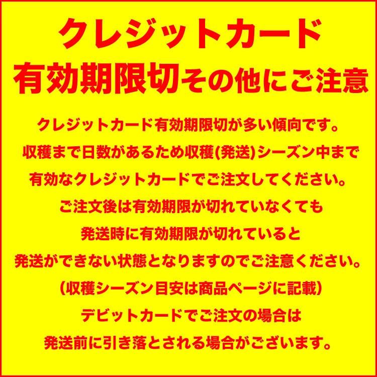 2026年収穫予約 アスパラ 極太2L 約1kg 北海道産 グリーン あすぱら お届け日指定不可無効 2026年5月下旬前後頃よりご注文順に発送 |  | 01
