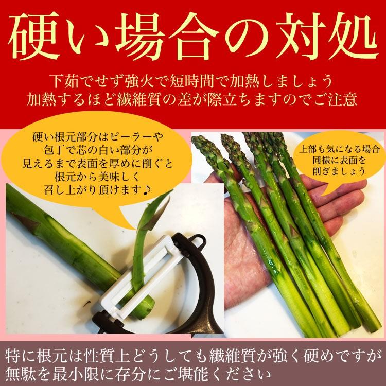 アスパラ 極太2l 約1kg 北海道産 グリーン あすぱら お届け日指定不可無効 5月下旬前後頃よりご注文順に発送 231 とれたて北海道 通販 Yahoo ショッピング