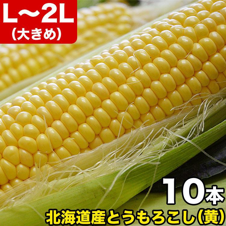 21秋冬新作 とうもろこし 黄粒 L 2l 10本 北海道産 とうきび お届け日指定不可無効 8月下旬前後頃よりご注文順に発送