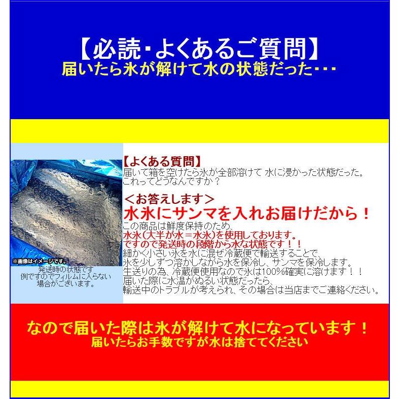 生サンマ 北海道産 4kg前後 32尾前後〜35尾前後 中サイズ 秋刀魚 さんま 10月上〜中旬前後より収獲次第順次出荷 お届け日指定不可選択無効キャンセル不可｜toretate｜06