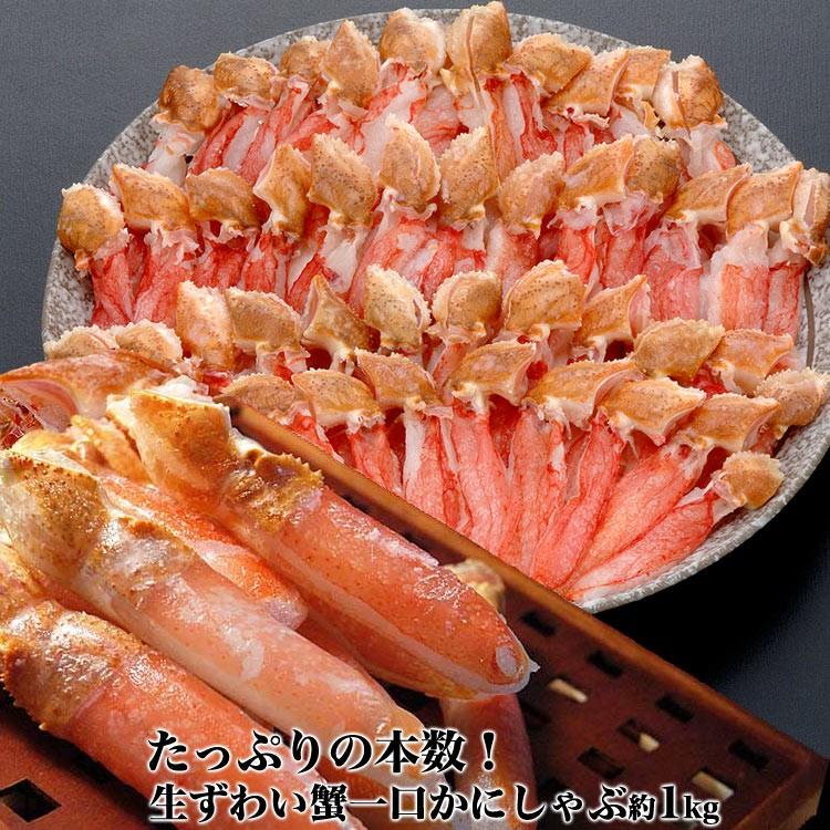 とにかく本数が大量 一口サイズ鍋用ポーション ギガランキングｊｐ