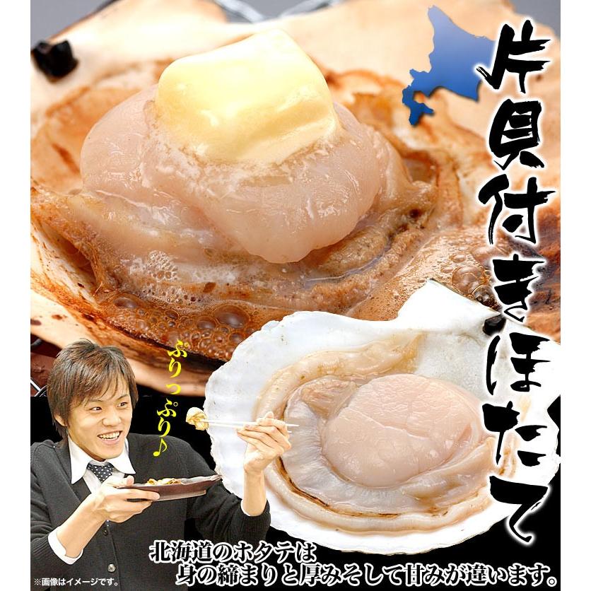 帆立 ホタテ 貝 q バーベキュー ほたて片貝付き10枚で約450 600g前後 ウロ取済み 3995 とれたて北海道 通販 Yahoo ショッピング