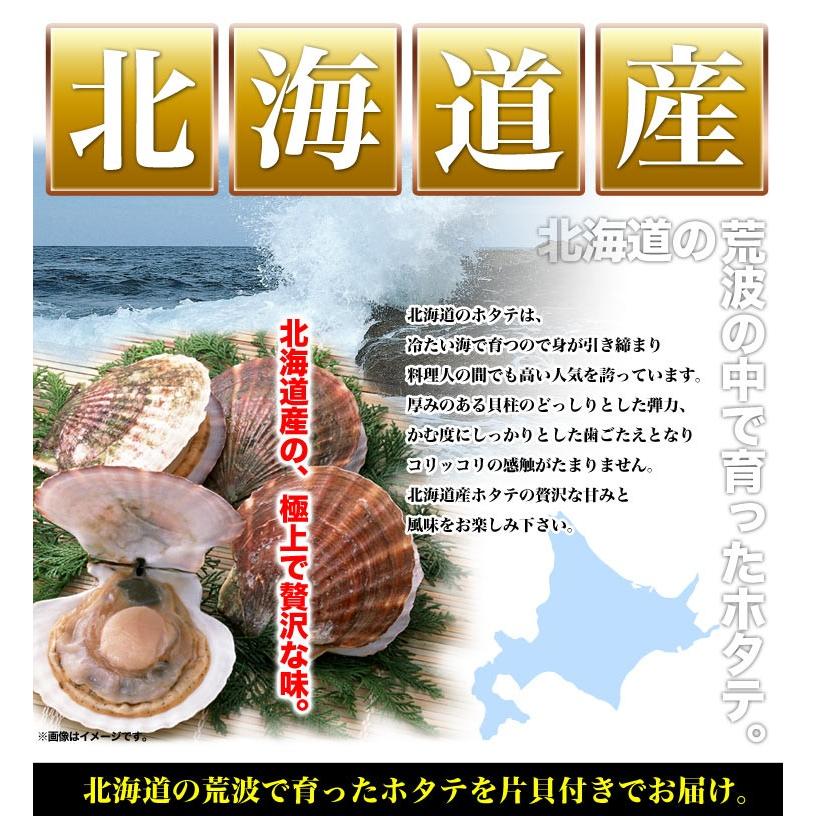 帆立 ホタテ 貝 q バーベキュー ほたて片貝付き10枚で約450 600g前後 ウロ取済み 3995 とれたて北海道 通販 Yahoo ショッピング