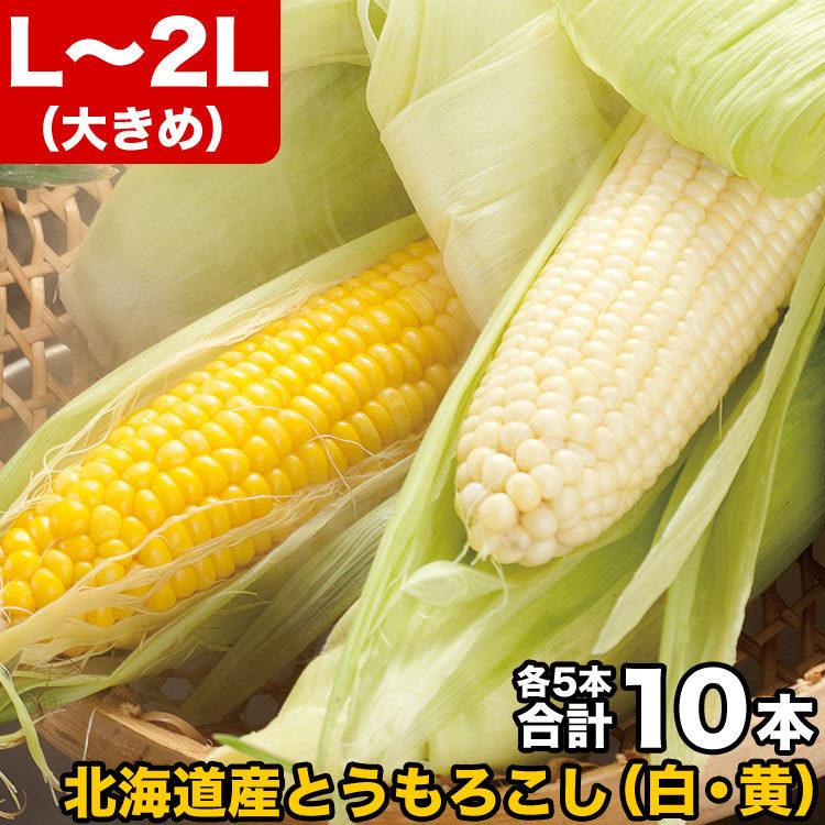 とうもろこし 黄粒 白粒 食べ比べ セット L〜2L 各5本の計10本 北海道産 とうきび お届け日指定不可無効 2024年8月下旬前後頃よりご注文順に発送｜toretate