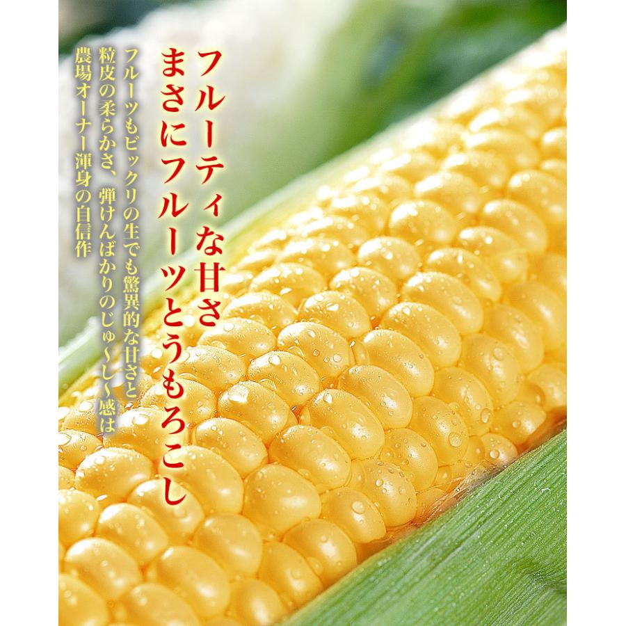 とうもろこし 黄粒 白粒 食べ比べ セット L〜2L 各5本の計10本 北海道産 とうきび お届け日指定不可無効 2024年8月下旬前後頃よりご注文順に発送｜toretate｜06