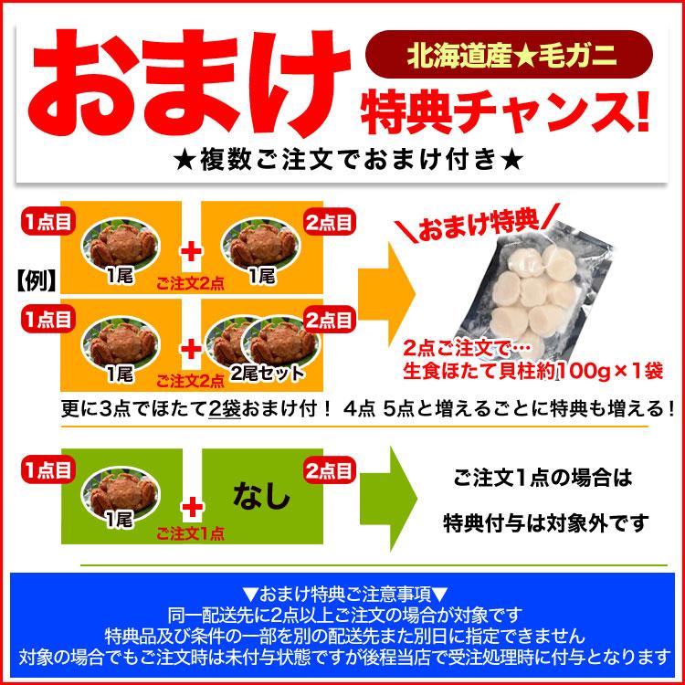 在庫限り最安値に挑戦 特大 毛ガニ 570g 前後 北海道産 姿 味噌 けがに 毛がに カニ 蟹 かに 脚 折脚入る場合があります 2点以上から注文数に応じオマケ付き |  | 02