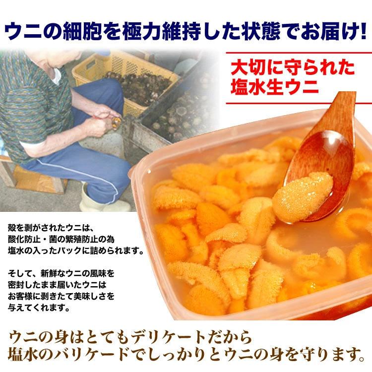 100g 塩水 バフンウニ 生 厳選A品プレミアム うに 雲丹 海栗 消費期限が短いため不在注意 お届け日指定不可／キャンセル不可 身の大小の指定不可 |  | 03