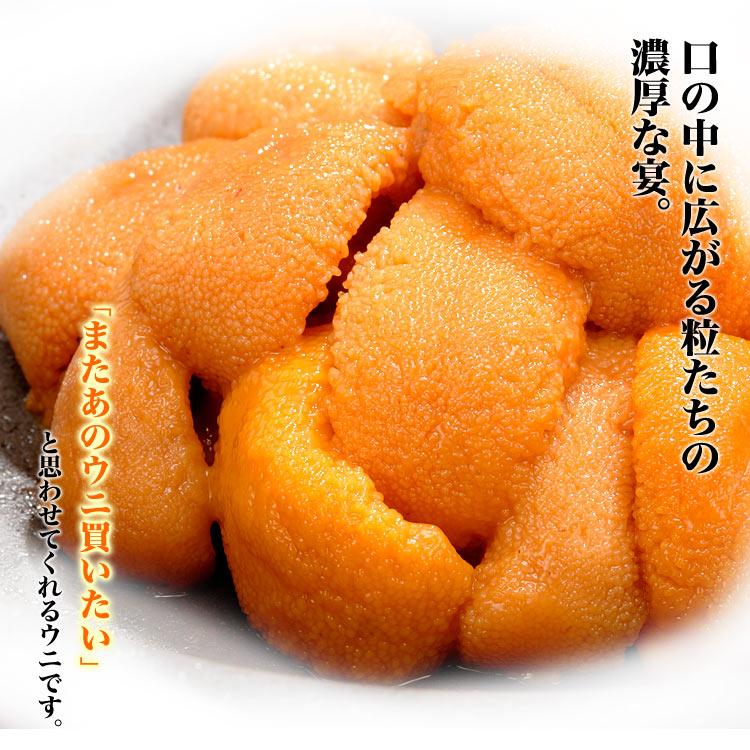 100g 塩水 バフンウニ 生 厳選A品プレミアム うに 雲丹 海栗 消費期限が短いため不在注意 お届け日指定不可／キャンセル不可 身の大小の指定不可 |  | 04