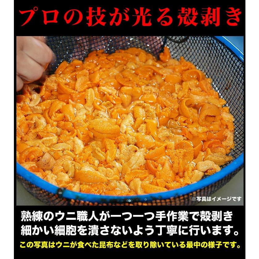 100g 塩水 バフンウニ 生 厳選A品プレミアム うに 雲丹 海栗 消費期限が短いため不在注意 お届け日指定不可／キャンセル不可 身の大小の指定不可 |  | 02