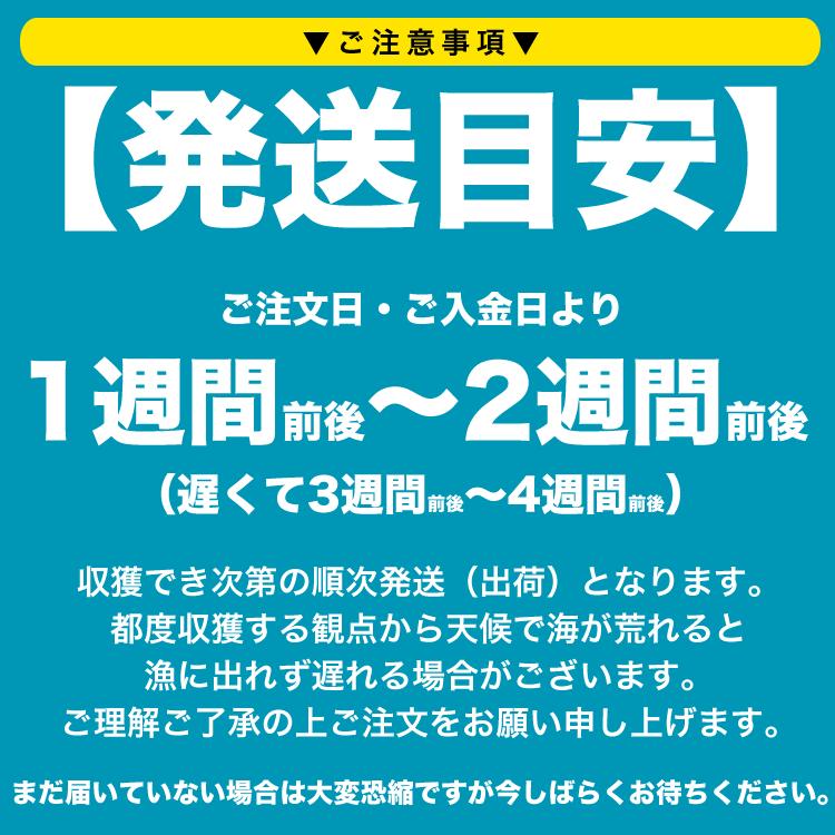 100g 塩水 バフンウニ 生 厳選A品プレミアム うに 雲丹 海栗 消費期限が短いため不在注意 お届け日指定不可／キャンセル不可 身の大小の指定不可 |  | 07