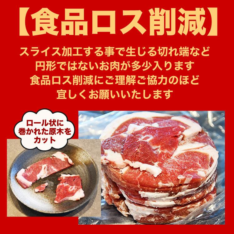 現品限り ラムシード お好きな布や紙をラミネート加工できる かんたん ラムシート つやありタイプ ・ つやなしタイプ 約