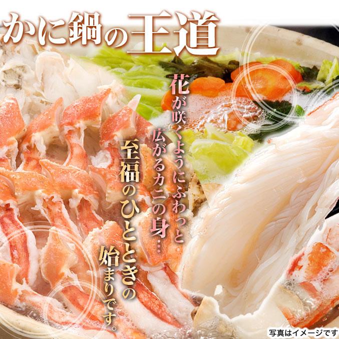 生ズワイガニ ポーション 1.6kg前後 800g前後×2p かにしゃぶ カニ鍋 訳あり 訳有 わけあり 蟹 剥き身 棒肉 だるま 2点以上から注文数に応じオマケ付き |  | 08