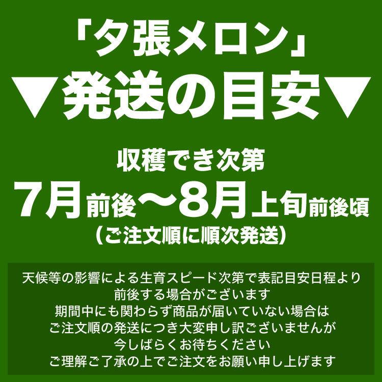 2026年収穫予約 夕張メロン 訳あり 約4kg 2〜4玉入 メロン 北海道産 めろん 赤肉 お届け日指定不可無効 2026年7月前後頃よりご注文順に発送 玉数指定不可 |  | 02