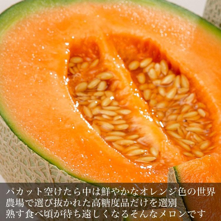 2026年収穫予約 夕張メロン 訳あり 約4kg 2〜4玉入 メロン 北海道産 めろん 赤肉 お届け日指定不可無効 2026年7月前後頃よりご注文順に発送 玉数指定不可 |  | 05