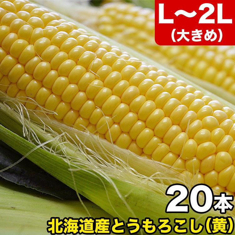 2026年収穫予約 とうもろこし 黄粒 L〜2L×20本 北海道産 とうきび お