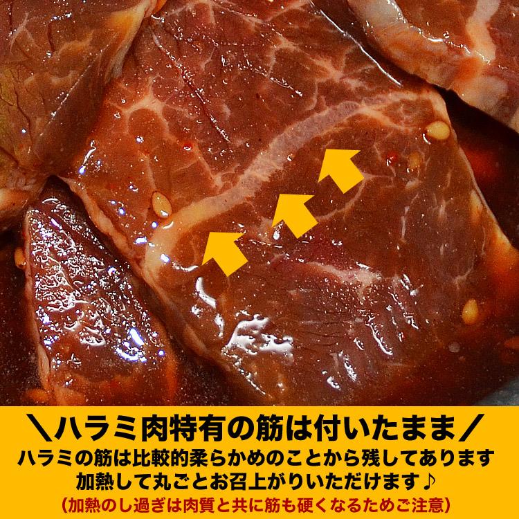 1.8kg 600g×3 タレ込み 牛ハラミ サガリ 厚切り 味付き 焼肉 BBQ バーベキュー 野菜炒め 弁当 |  | 05