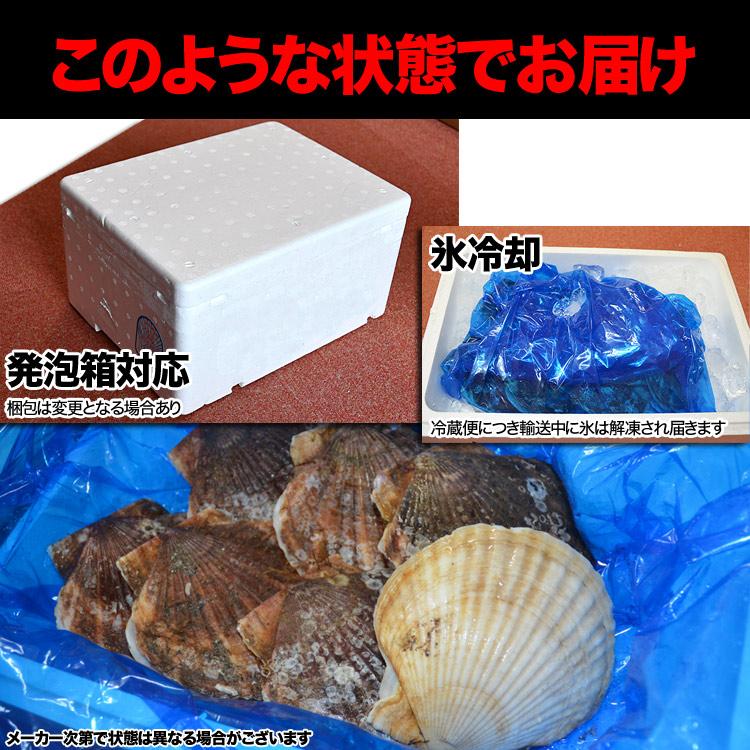 ホタテ 活 貝付き 2kg 前後 10〜12枚前後 北海道産 帆立 ほたて お届け日指定不可 キャンセル不可 ご注文後1〜3週間前後で収獲次第出荷 長期不在受取り注意 |  | 03