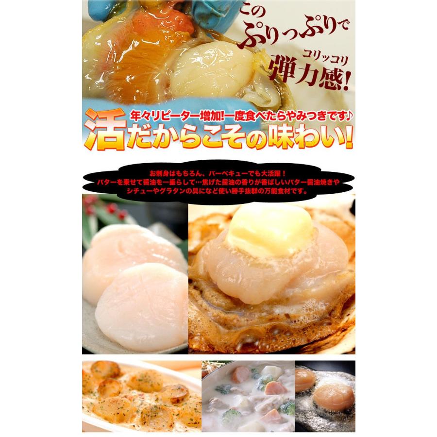 ホタテ 活 貝付き 2kg 前後 10〜12枚前後 北海道産 帆立 ほたて お届け日指定不可 キャンセル不可 ご注文後1〜3週間前後で収獲次第出荷 長期不在受取り注意 |  | 06