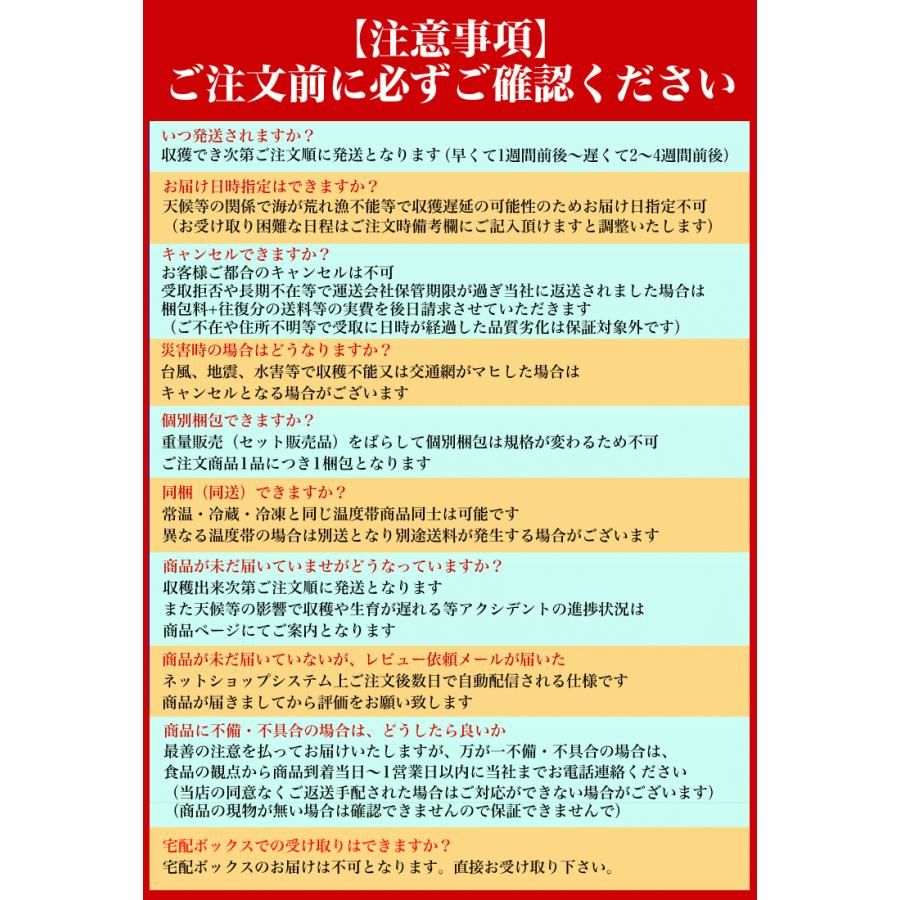 ホタテ 活 貝付き 2kg 前後 10〜12枚前後 北海道産 帆立 ほたて お届け日指定不可 キャンセル不可 ご注文後1〜3週間前後で収獲次第出荷 長期不在受取り注意 |  | 08