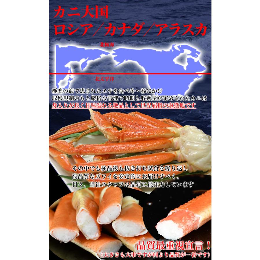 大型 ズワイガニ 脚 総重量 2kg 前後 6肩前後 ずわい ズワイ カニ 蟹 かに 脚 折脚たし脚入る場合があります |  | 01