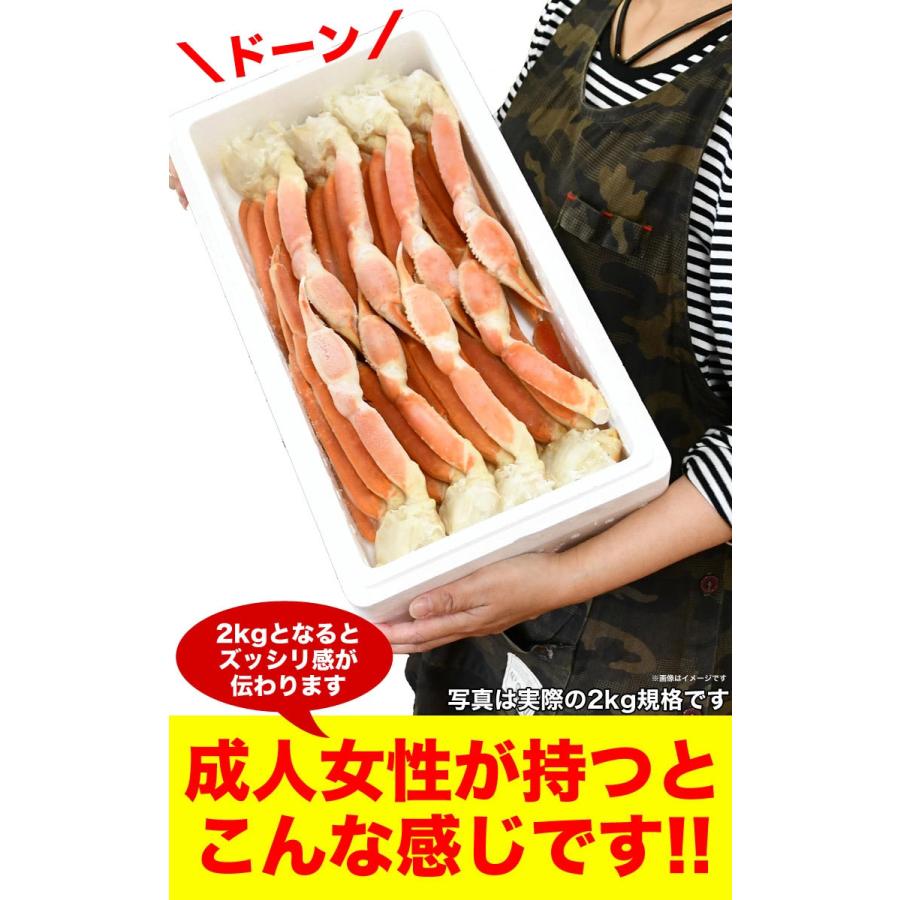 大型 ズワイガニ 脚 総重量 2kg 前後 6肩前後 ずわい ズワイ カニ 蟹 かに 脚 折脚たし脚入る場合があります |  | 06
