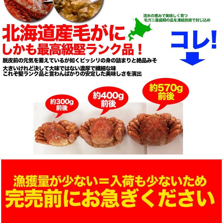 カニ激売祭り 特大 毛ガニ 570g 前後×2尾セット 北海道産 姿 味噌 けがに 毛がに カニ 蟹 かに 脚 折脚たし脚入る場合があります |  | 02