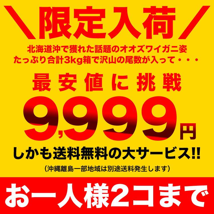 のし不可 在庫限り お一人様2コまで 北海道産 オオ ズワイガニ 姿 9〜11尾入り合計3kg前後 1尾あたり約270〜330g カニ 蟹 かに 熨斗不可 |  | 01