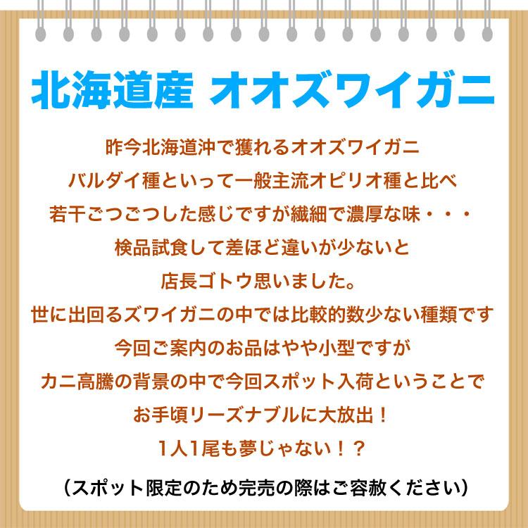 のし不可 在庫限り お一人様2コまで 北海道産 オオ ズワイガニ 姿 9〜11尾入り合計3kg前後 1尾あたり約270〜330g カニ 蟹 かに 熨斗不可 |  | 03