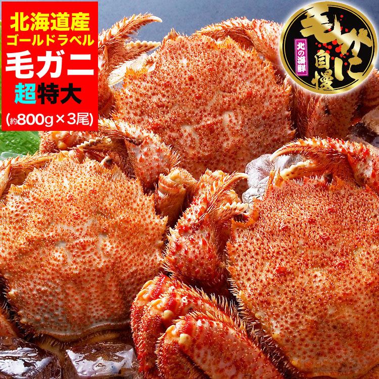 在庫限り最安値に挑戦 超特大 毛ガニ 800g 前後×3尾 北海道産 姿 味噌 けがに 毛がに カニ 蟹 かに 折脚たし脚入る場合あり 2点以上から注文数に応じオマケ付き | 
