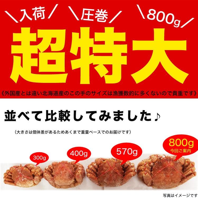 在庫限り最安値に挑戦 超特大 毛ガニ 800g 前後×3尾 北海道産 姿 味噌 けがに 毛がに カニ 蟹 かに 折脚たし脚入る場合あり 2点以上から注文数に応じオマケ付き |  | 04