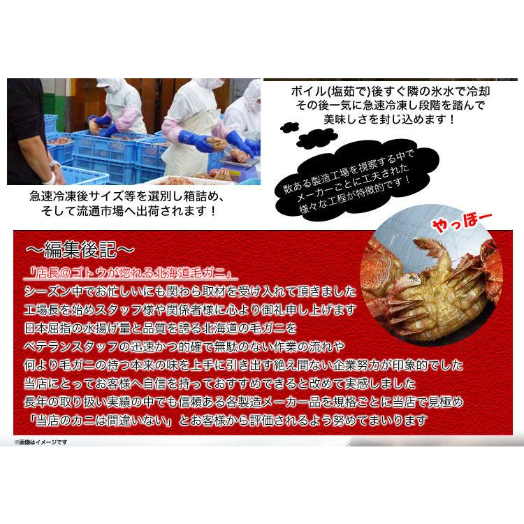 在庫限り最安値に挑戦 超特大 毛ガニ 800g 前後×3尾 北海道産 姿 味噌 けがに 毛がに カニ 蟹 かに 折脚たし脚入る場合あり 2点以上から注文数に応じオマケ付き |  | 09