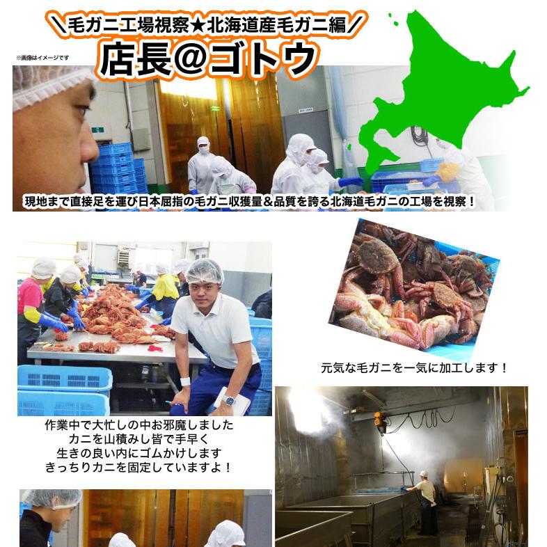 在庫限り最安値に挑戦 超特大 毛ガニ 800g 前後×3尾 北海道産 姿 味噌 けがに 毛がに カニ 蟹 かに 折脚たし脚入る場合あり 2点以上から注文数に応じオマケ付き |  | 08
