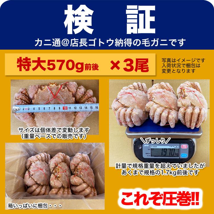 特大 毛ガニ 570g 前後×3尾セット 北海道産 姿 味噌 けがに 毛がに カニ 蟹 かに 脚 折脚たし脚入る場合があります |  | 04