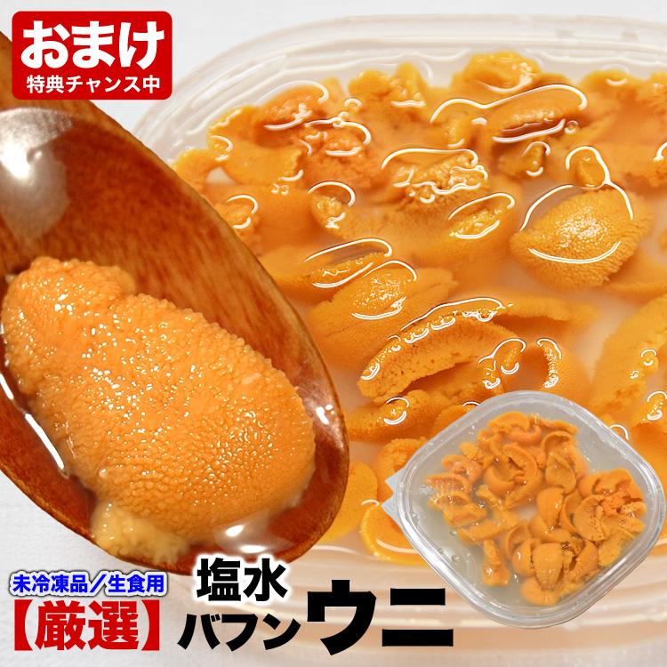 60g 塩水 バフンウニ 生 厳選A品プレミアム うに 雲丹 海栗 消費期限が短いため不在注意 お届け日指定不可／キャンセル不可 2個以上でオマケ付き | 
