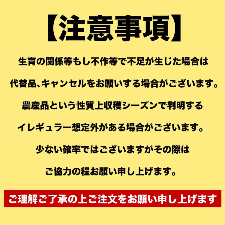 2026年収穫予約 夕張メロン 8kg 元箱白 秀 共選 4〜6玉／玉数指定不可 個別梱包不可 お届け日指定不可無効 2026年6月中旬前後頃よりご注文順に発送 |  | 08