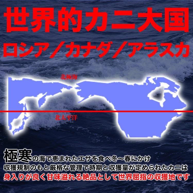 二大蟹脚セット タラバガニ脚総重量 2kg 前後 ズワイガニ脚総重量 2kg 前後 合計総重量 4kg 前後 タラバ ズワイ たらば ずわい カニ 蟹 かに 脚 折脚たし脚 |  | 03