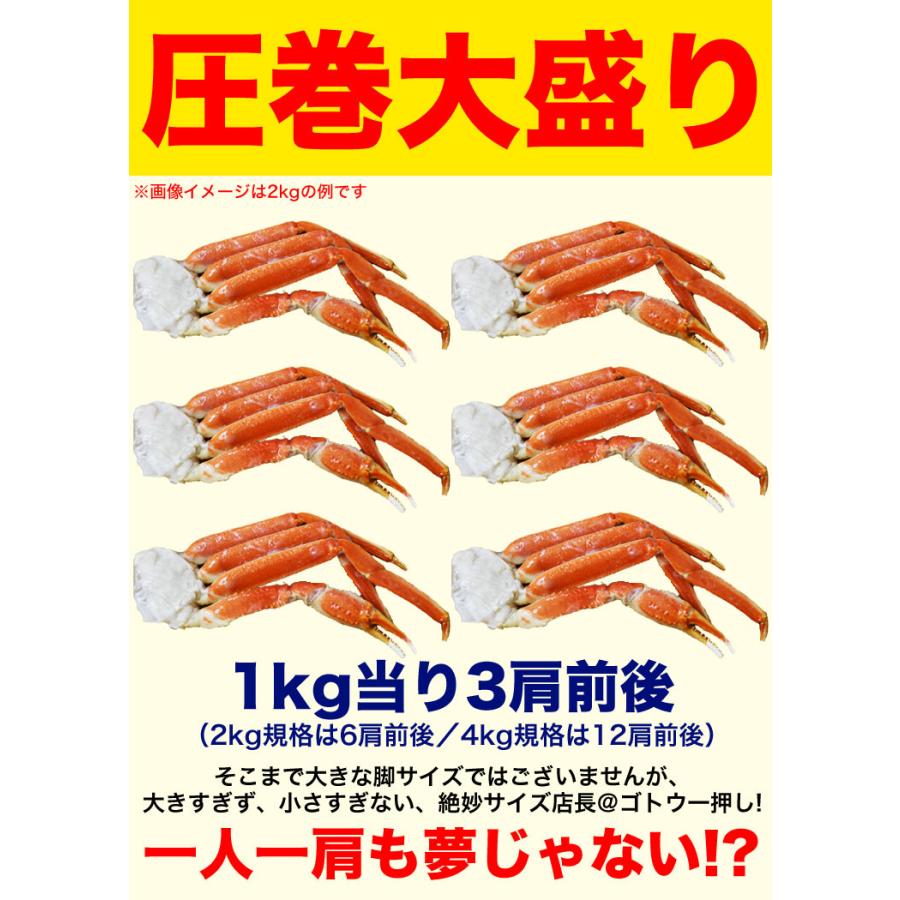 大型 ズワイガニ 脚 総重量 6kg 前後 （ 2kg 6肩前後×3箱） ずわい ズワイ カ ニ 蟹 かに 脚 折脚たし脚入る場合があります |  | 05