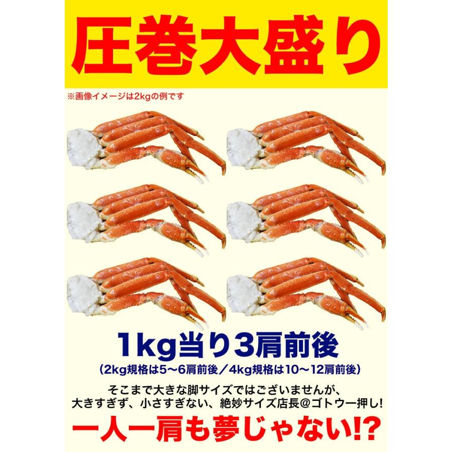大型 ズワイガニ 脚 総重量 6kg 前後 （ 2kg 5〜6肩前後×3箱） ずわい ズワイ カ ニ 蟹 かに 脚 折脚たし脚入る場合あり 2点以上から注文数に応じオマケ付き |  | 04