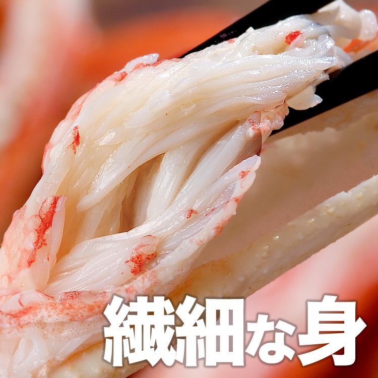 大型 ズワイガニ 脚 総重量 6kg 前後 （ 2kg 5〜6肩前後×3箱） ずわい ズワイ カ ニ 蟹 かに 脚 折脚たし脚入る場合あり 2点以上から注文数に応じオマケ付き |  | 08