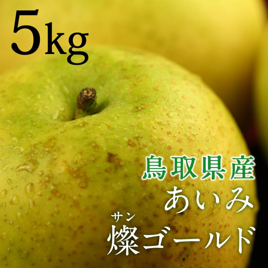風味絶佳 梨 あいみ燦ゴールド（ゴールド二十世紀梨）5kg詰（18玉入