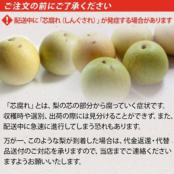 風味絶佳 梨 あいみ燦ゴールド（ゴールド二十世紀梨）5kg詰（18玉入