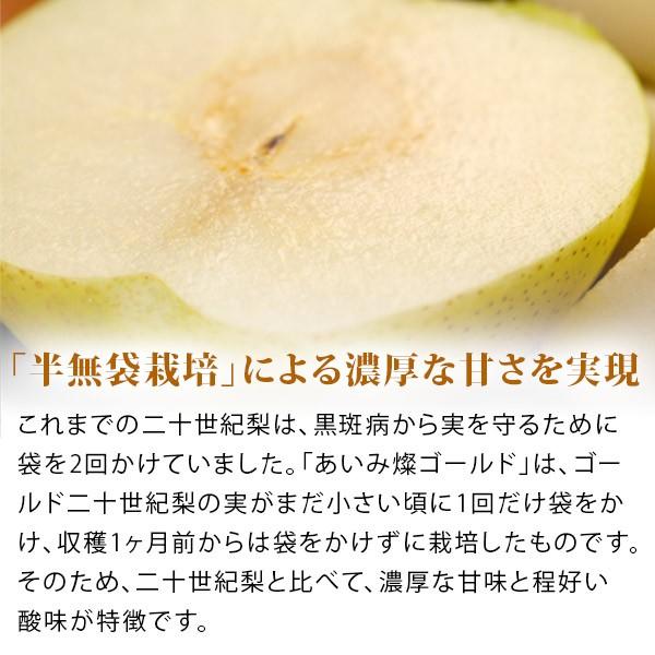風味絶佳 梨 あいみ燦ゴールド（ゴールド二十世紀梨）5kg詰（18玉入
