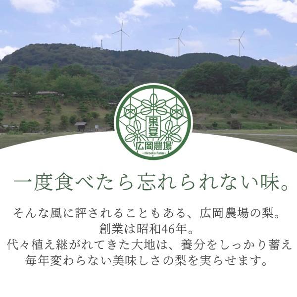梨 訳あり 広岡農場の二十世紀梨（20世紀梨）10kg詰（18〜36玉入） 鳥取県産 なし ご自宅用 送料無料_1