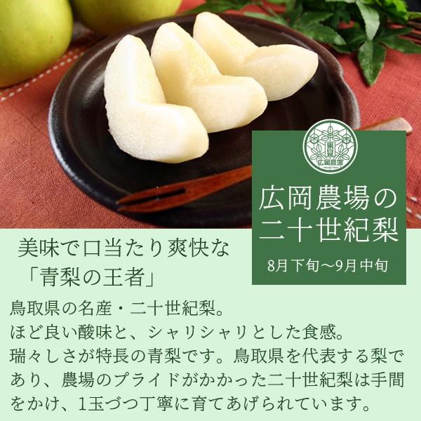 梨 訳あり 広岡農場の二十世紀梨（20世紀梨）10kg詰（18〜36玉入） 鳥取県産 なし ご自宅用 送料無料_5