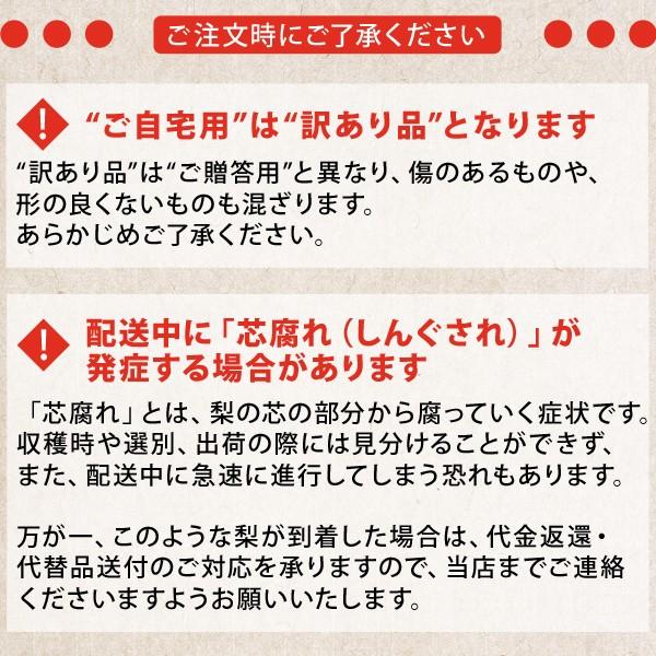 梨 訳あり 広岡農場の二十世紀梨（20世紀梨）10kg詰（18〜36玉入） 鳥取県産 なし ご自宅用 送料無料_7
